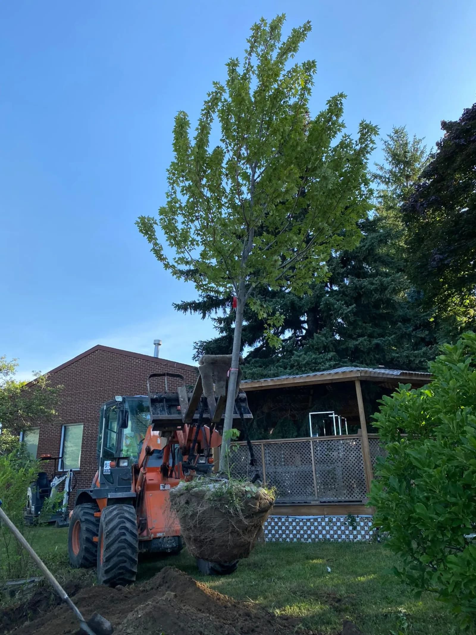 Your Spring Landscape Cleanup Checklist