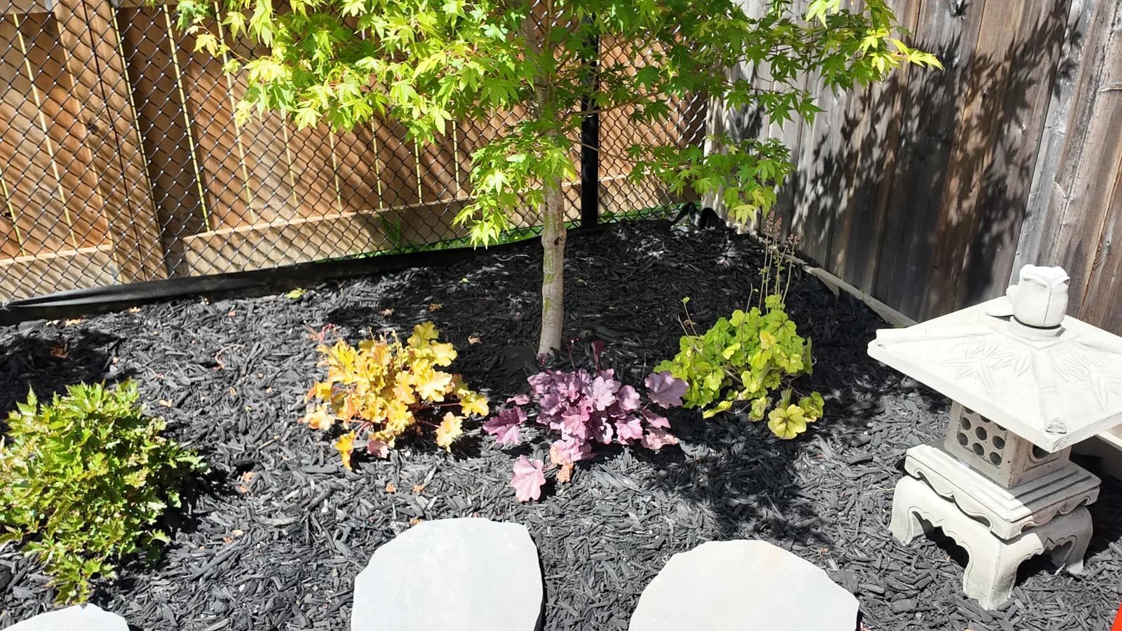 Choosing the Right Trees & Shrubs for a GTA Garden