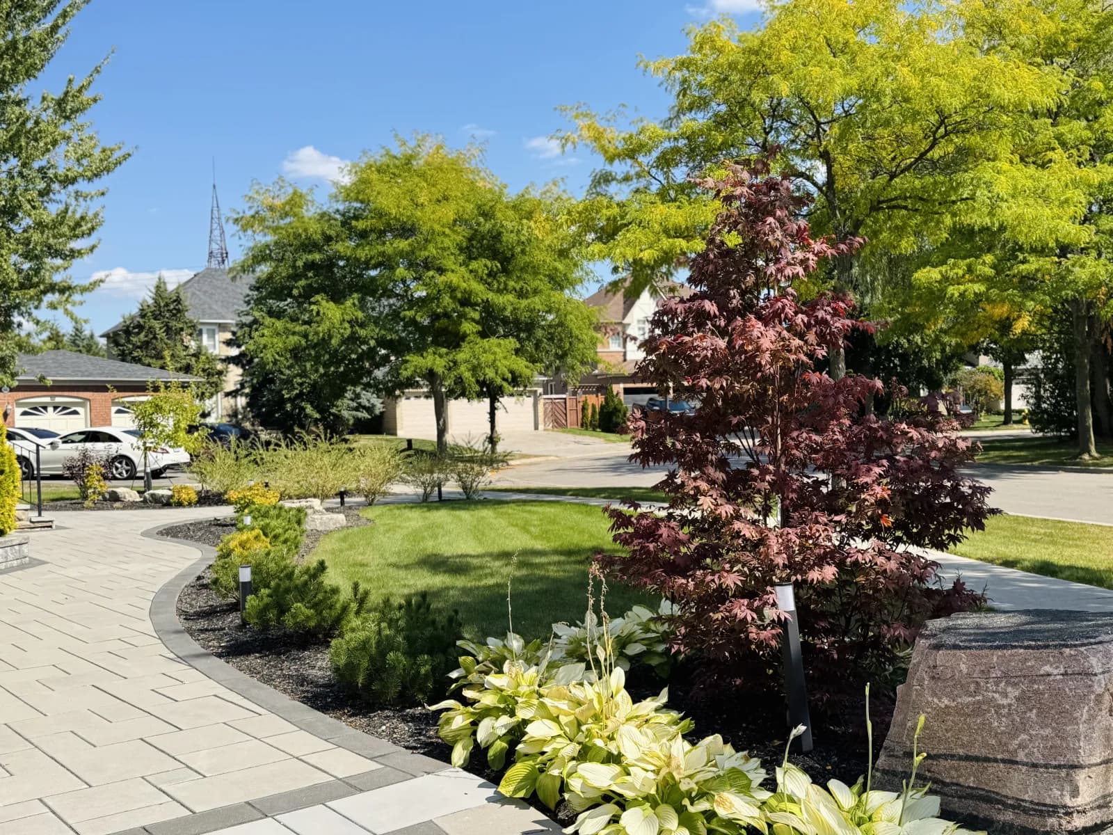 Tree & Shrub Planting — example 2