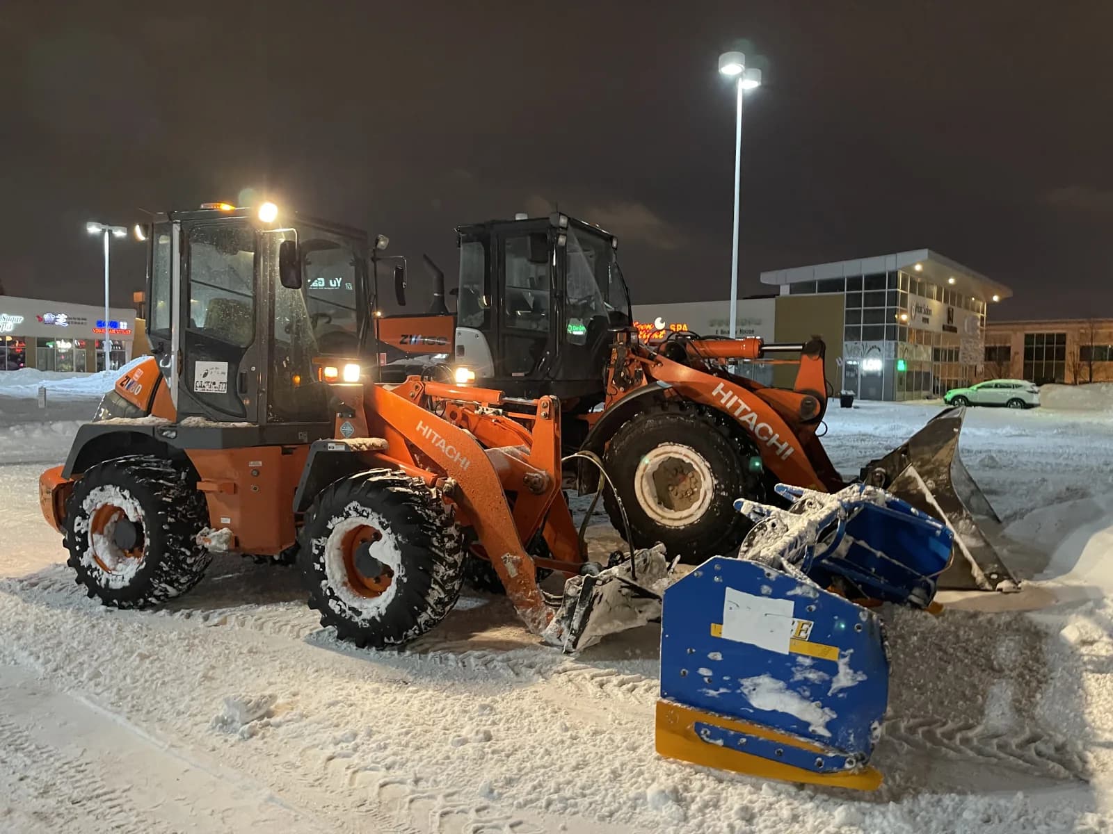 How to Prepare Your Landscape for a Toronto Winter